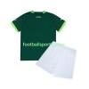 Tenue Palmeiras Enfant Domicile 2023-2024 Maillot de Foot
